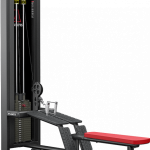 Atlantis Precision Low Row